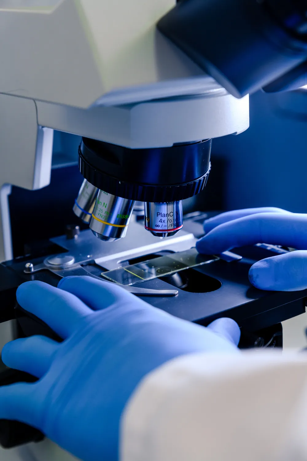 DLS Scientist