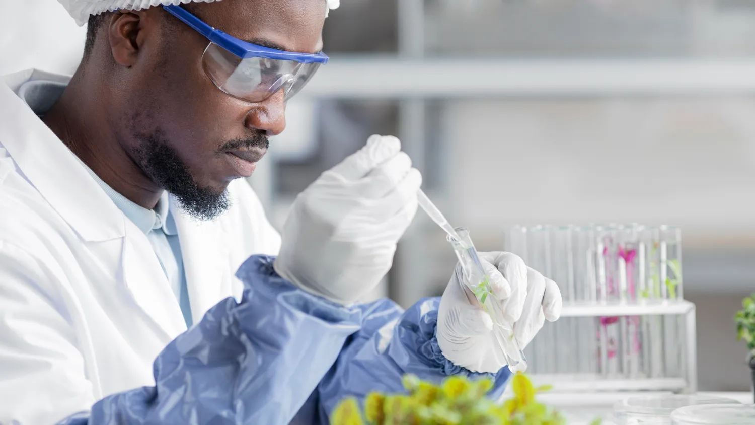 DLS laboratory scientist