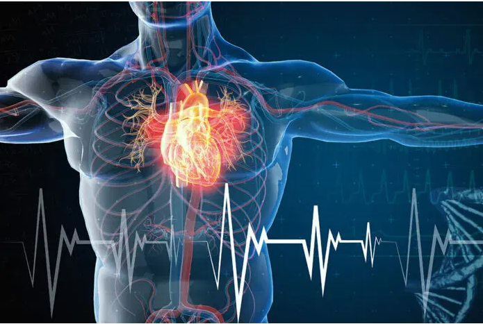 Cardiovascular diseases, incidence and diagnosis